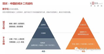 企業訪談 網絡技術如何賦能物流產品網，驅動物流技術創新