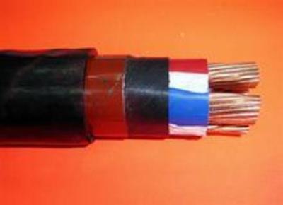 解析四大主流電力電纜 YJV、YJV22、ZR-YJV與ZR-YJV22