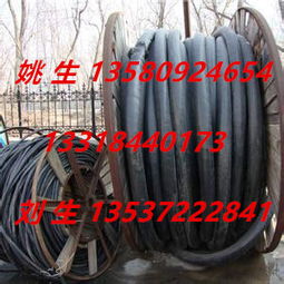 惠州市龍門縣與東莞東城攜手推進(jìn)電力電纜綠色回收，共筑循環(huán)經(jīng)濟(jì)新篇章